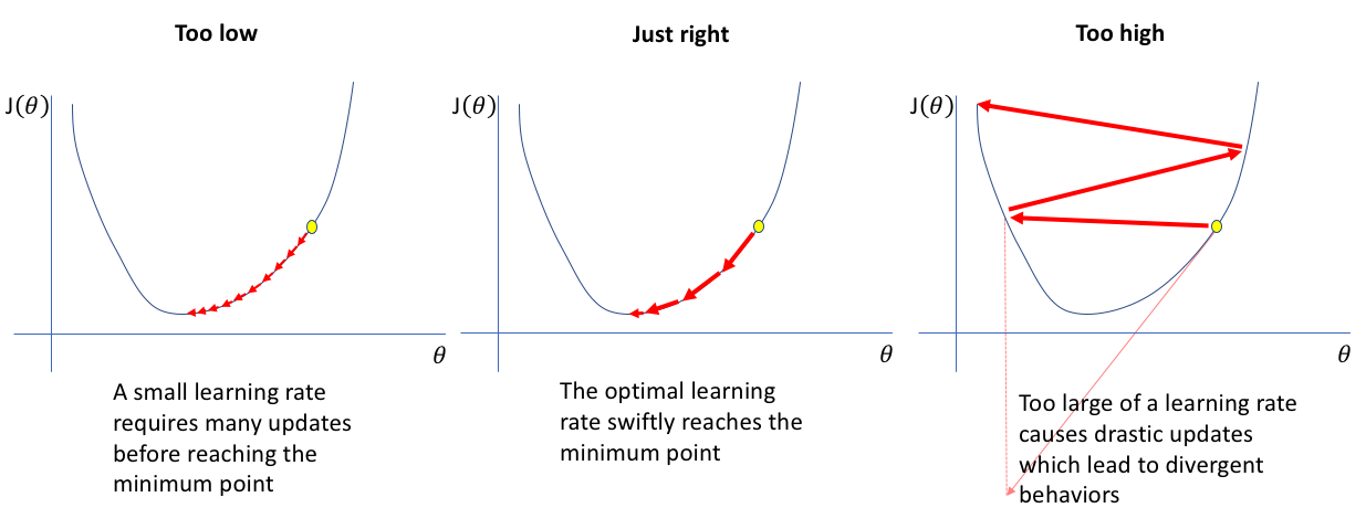 Setting the learning rate of your neural network.